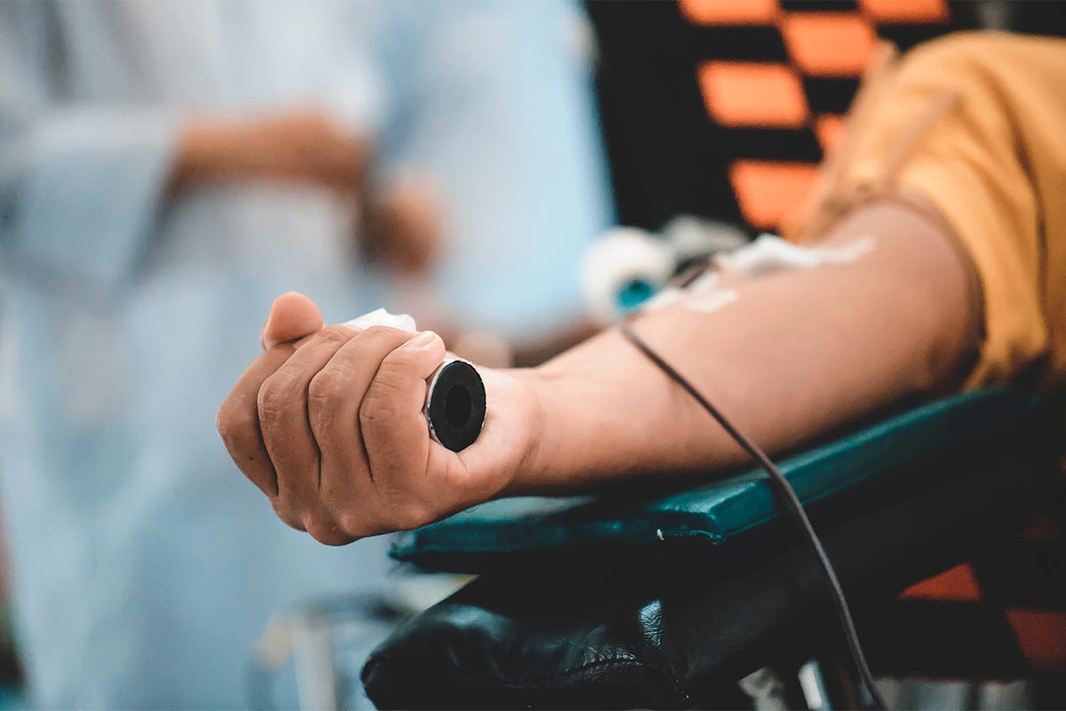 donating blood for transfusions : Blood donation and blood donor, hemolytic transfusion bank concept.