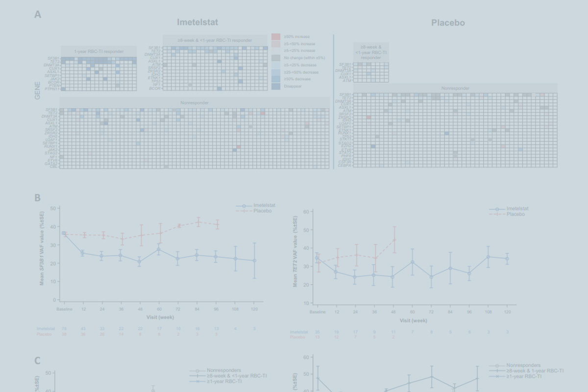 Publication graphs comparing imetelstat and placebo effects