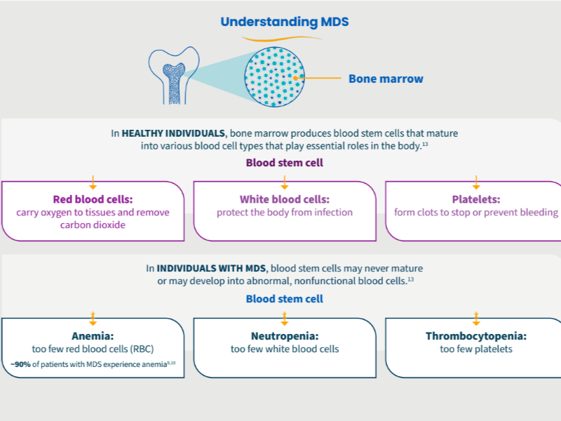LRMDS fact sheet screenshot