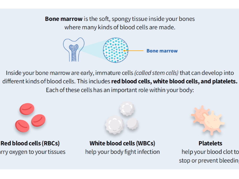 Patient education brochure screenshot