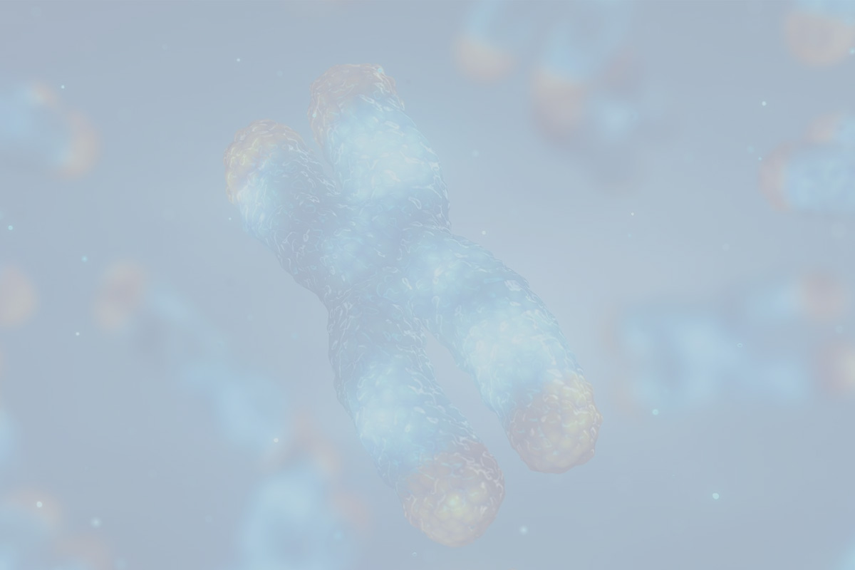Telomere shortening and chromosome damage. The length of telomeres is affected by lifestyle and has direct impact on human health and lifespan.