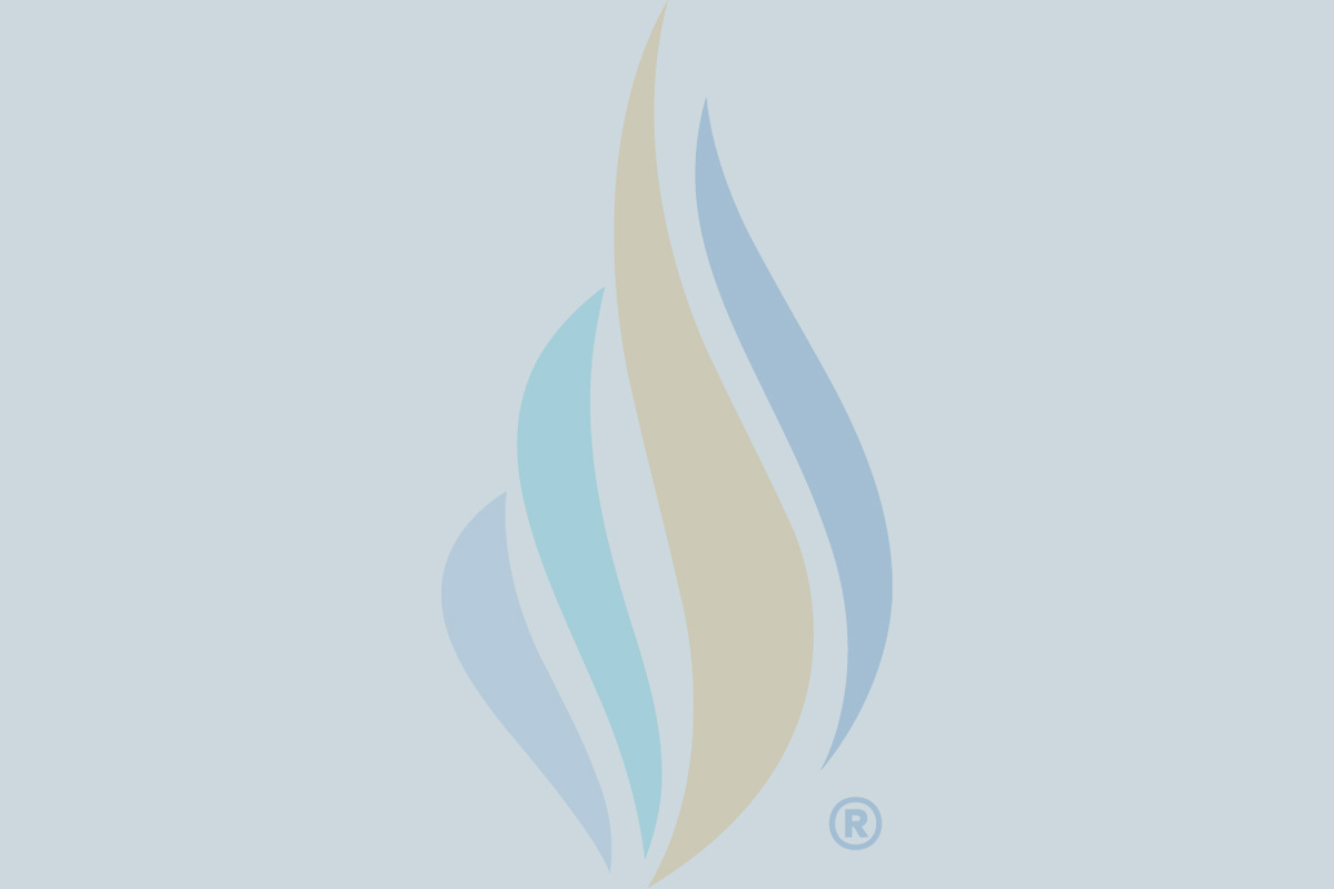 Geron color logo mark
